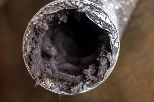 Best Best Air Duct Cleaning Company  in Fortuna Foothills, AZ