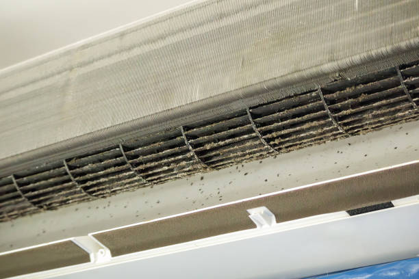 Best Commercial HVAC Duct Cleaning  in Fortuna Foothills, AZ